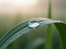 Méditation de pleine conscience – image de couverture de l’app, générée par IA