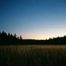 Nuit d’été – image de couverture de l’app, générée par IA