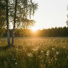 Soir de fin d’été – image de couverture de l’app, générée par IA
