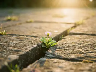 Affirmations : estime de soi – image de couverture de l’app, générée par IA