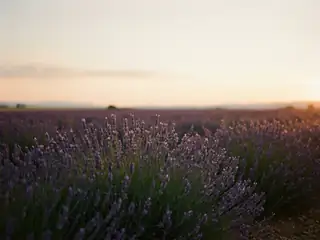Affirmations : à mon propre rythme – image de couverture de l’app, générée par IA