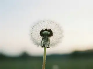 Pause respiration – image de couverture de l’app, générée par IA