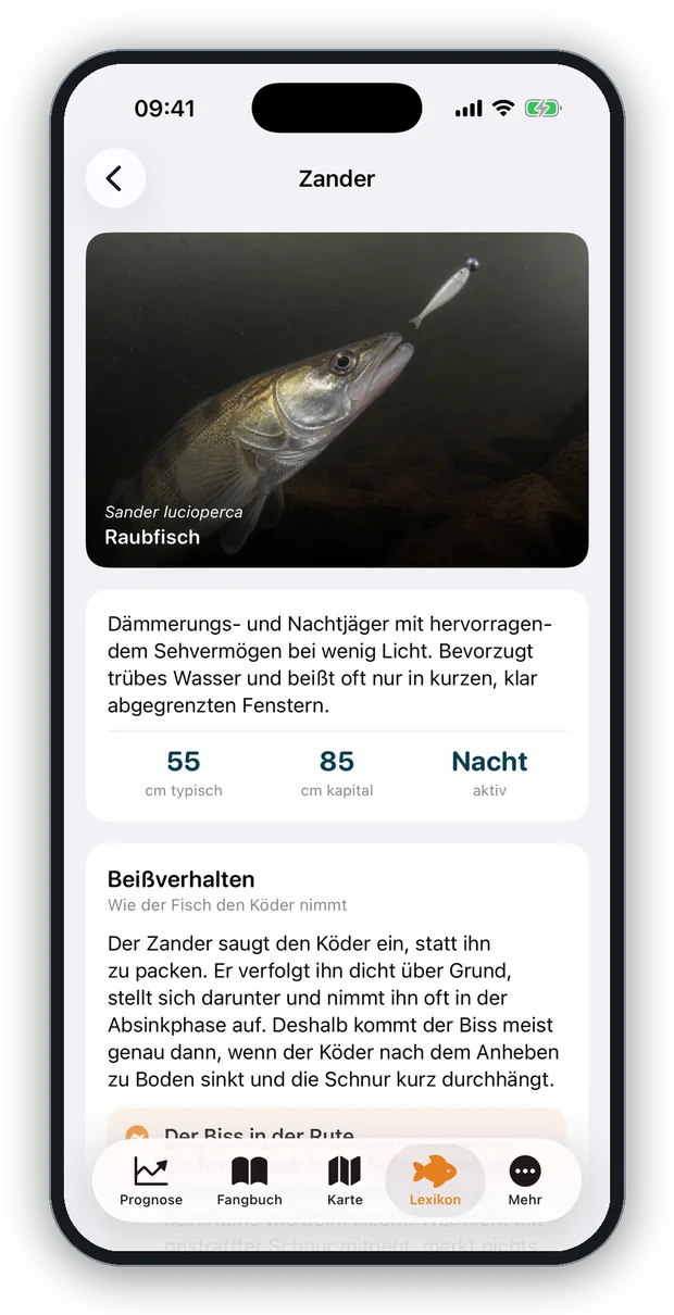 Bildschirmfoto: die Lexikonseite zum Zander mit Beißmoment-Foto und Beißverhalten